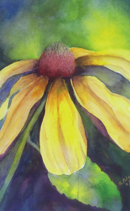 "Sun-drenched Cone flower" by Ginny Palumbos