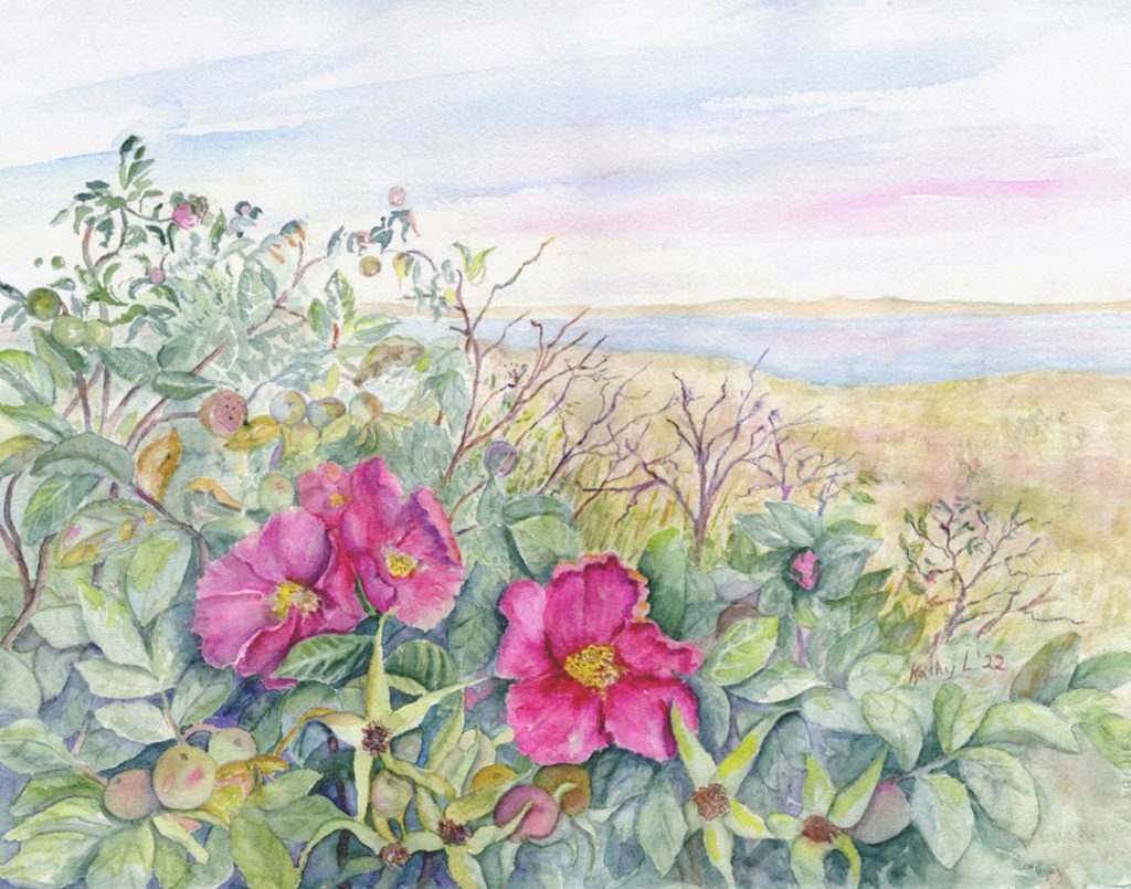 "Chatham Roses" by Kathy Lindsley