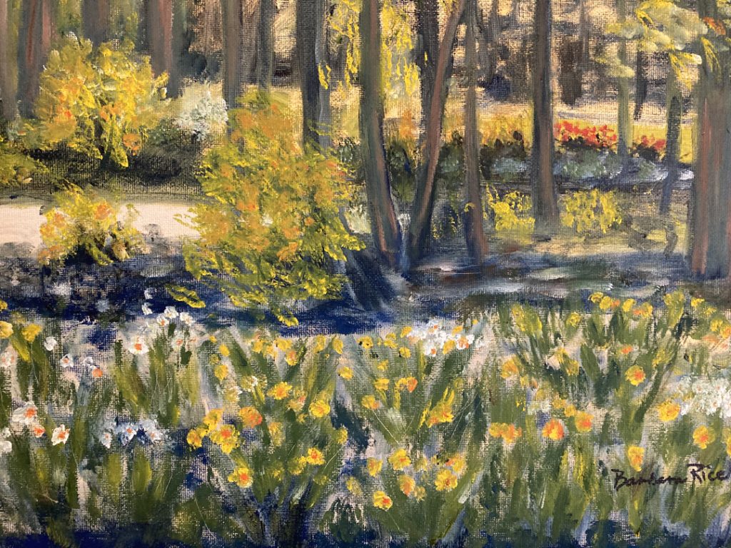 "Daffodil Extravaganza" by Barbara Rice