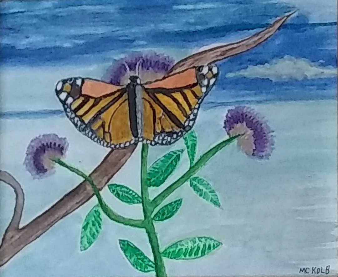Butterfly by Mike Kolb