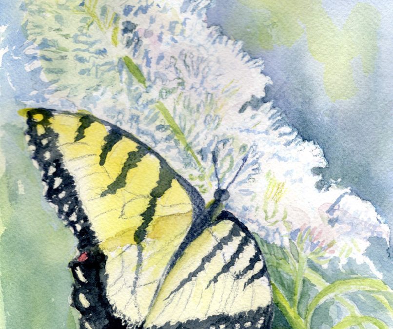 Bright, Elusive by Kathy Lindsley