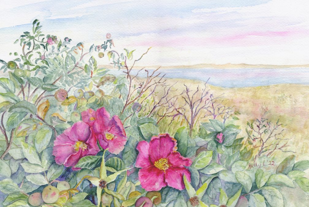 Chatham Roses by Kathy Lindsley