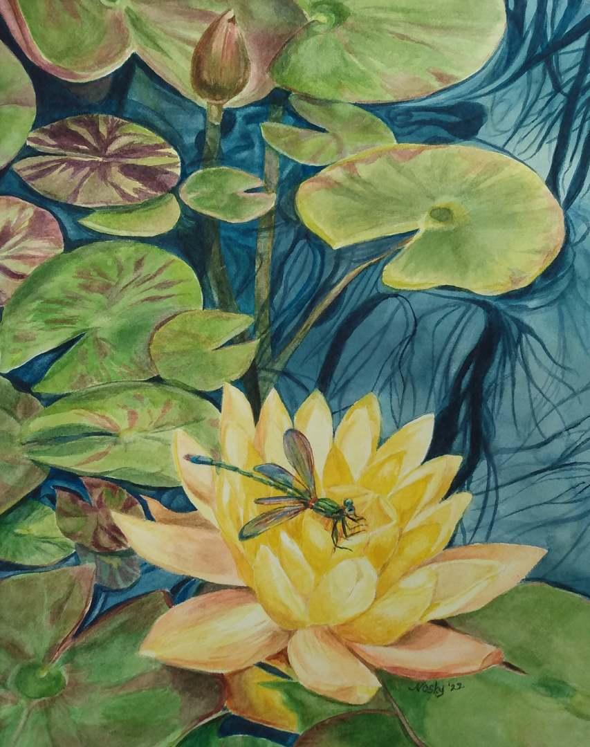 Lily Pond by Marilyn Nosky