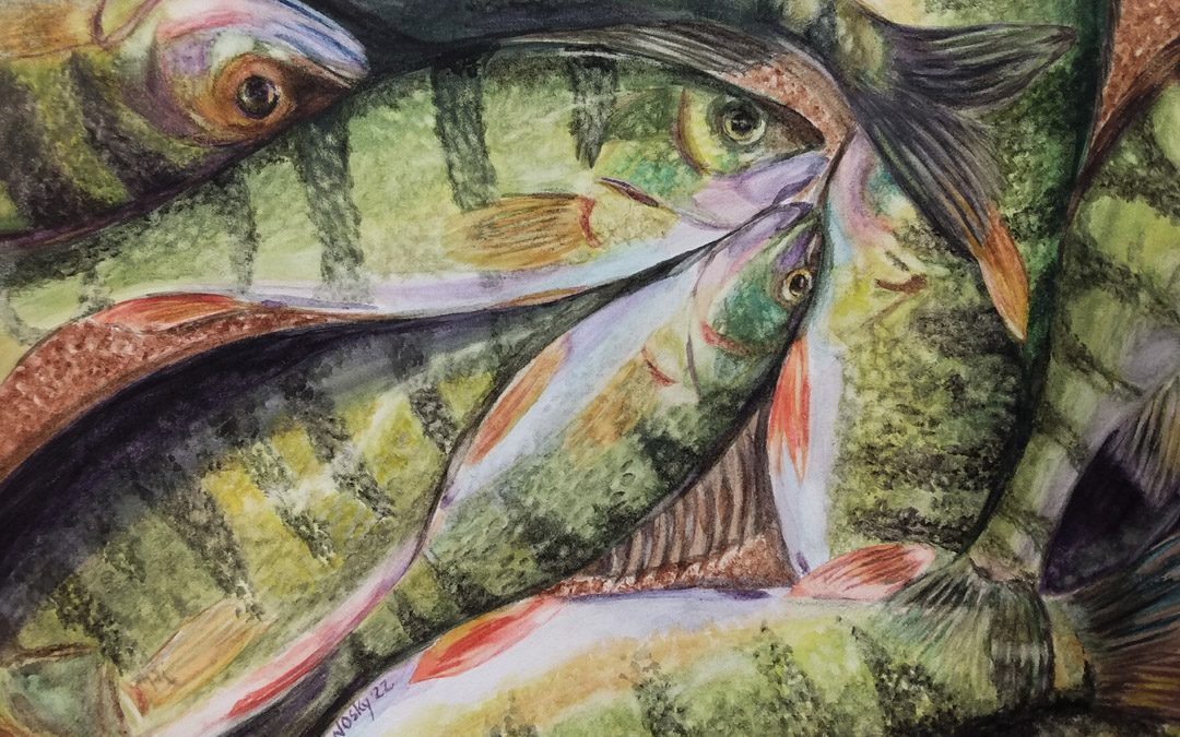 PAA Winter Show Jan. 30-Feb. 25