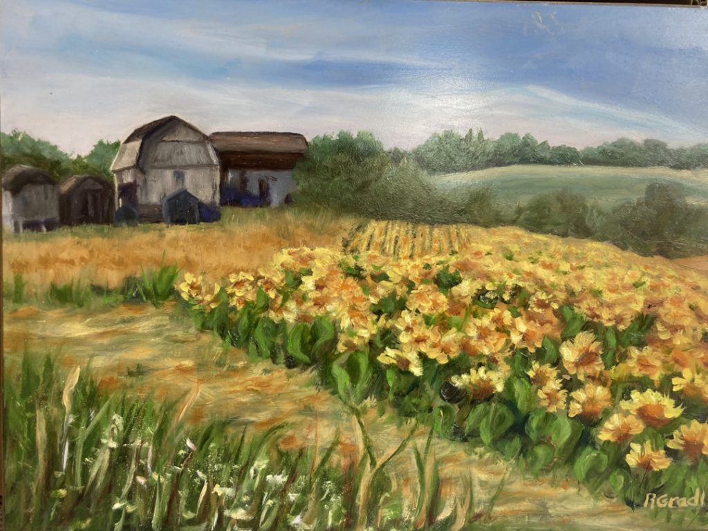 Sunflower Fields by Bobbi Gradl