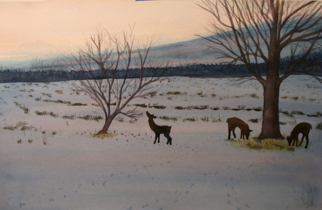 "Deer at Dusk" by Doug Bloom