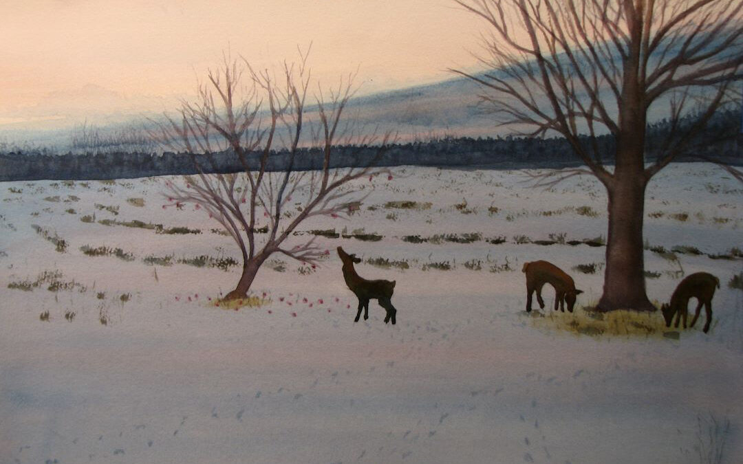 “Deer at Sunset,” Clymer, NY
