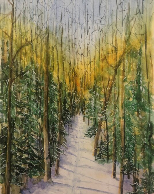 “Henry’s Woods,” Lake Placid, NY