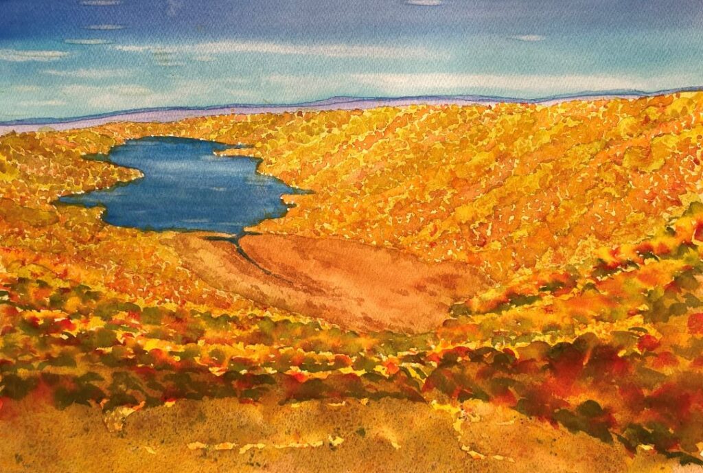 "Honeoye from Harriet Hollister" by Doug Bloom