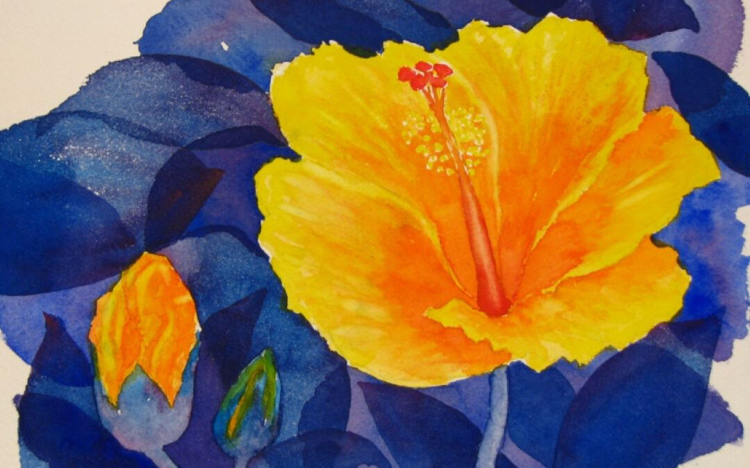 “Light Blooms,” Pass-A-Grille, FL