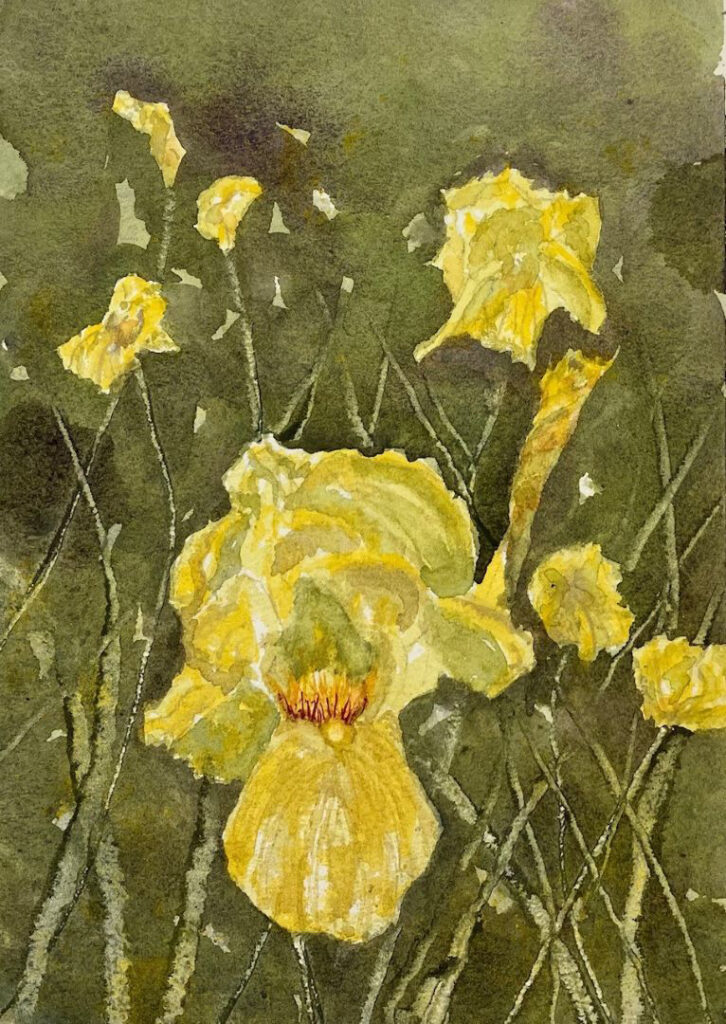 "Pure as Gold Iris" by Doug Bloom