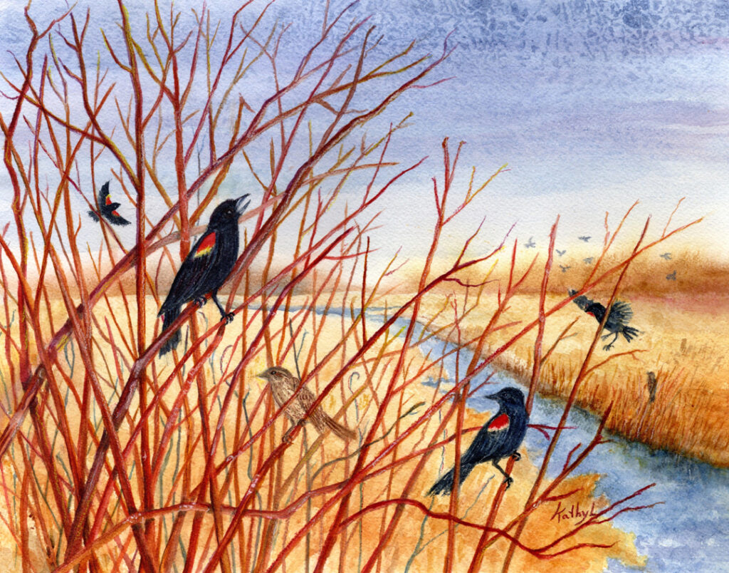 Spring Show by Kathy Lindsley