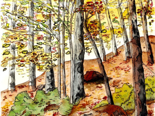 Fall Show 2025 Opens Oct. 5