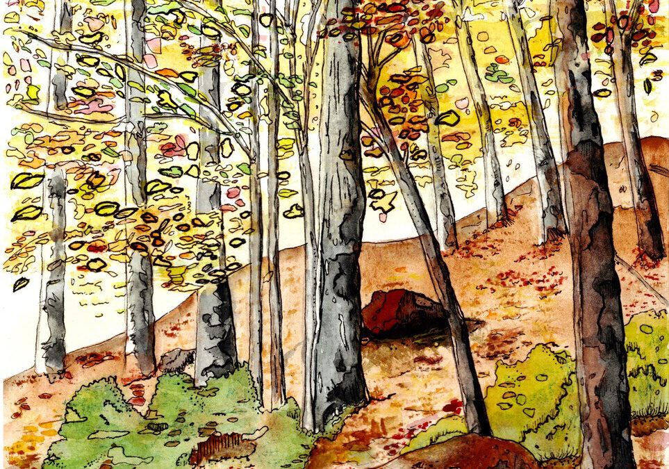 Fall Show 2025 Opens Oct. 5