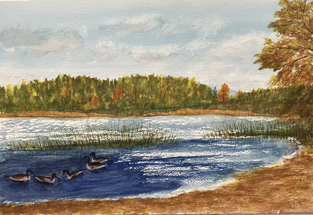 Bloom Hopkins Point in Fall, Mendon Ponds 1-16 Hopkins Point in Fall, Mendon Ponds by Doug Bloom