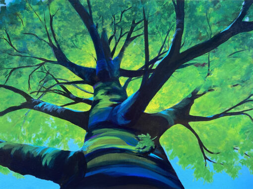 2026 PAA Winter Show at Barnes & Noble takes place Feb. 2-28