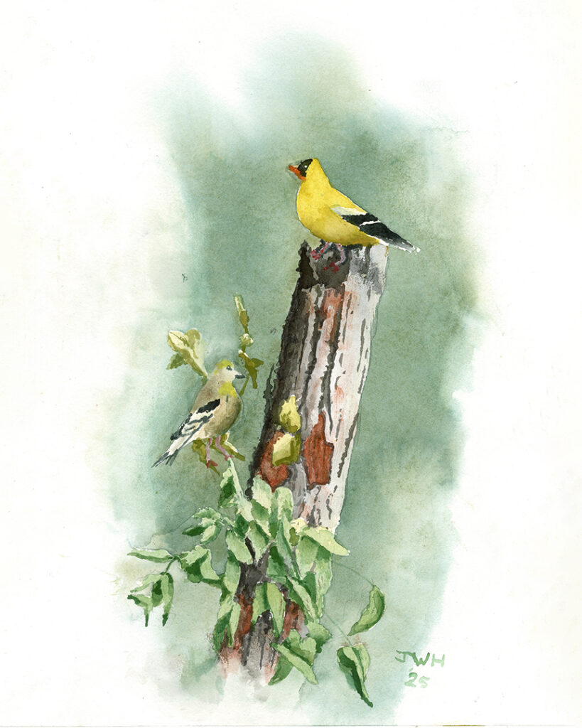 Heister Happy-Family 1-19