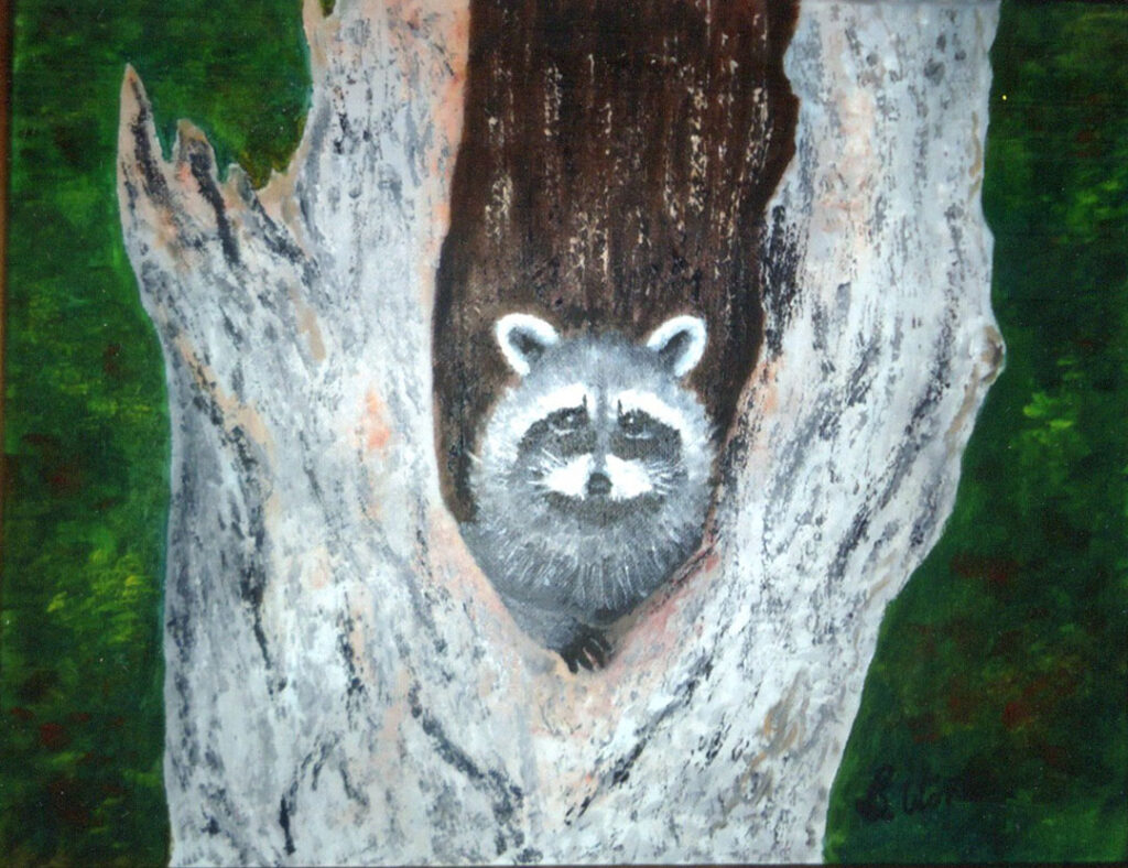 Winter Peek a Boo Peek a Boo by Bob Winter