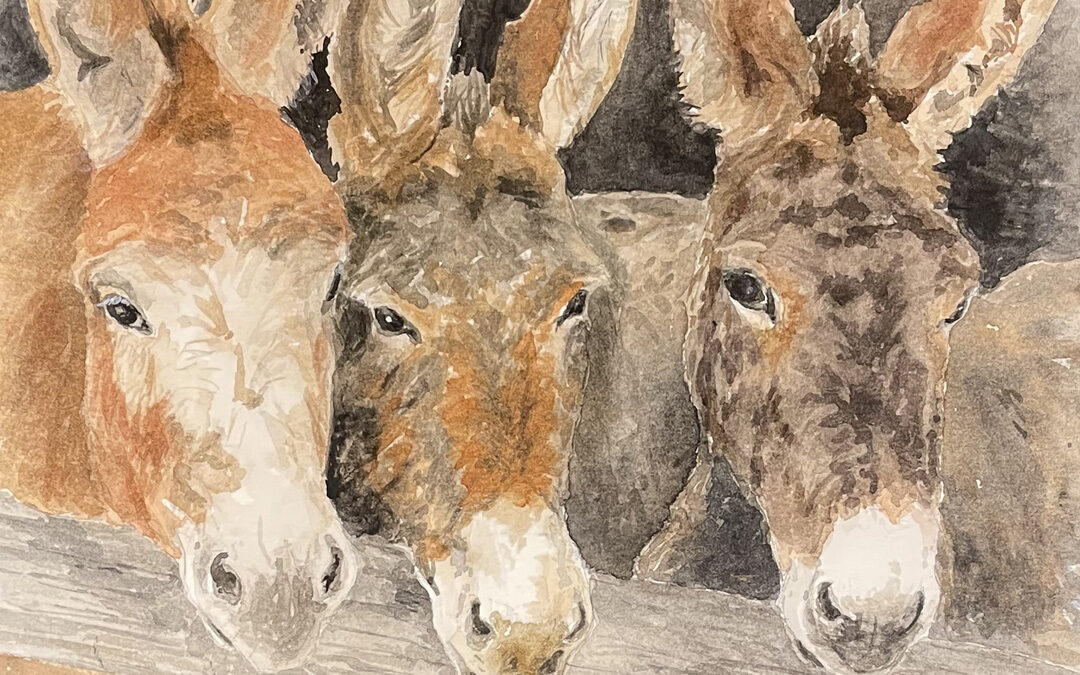2026 Winter Show Winners Announced