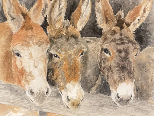 2026 Winter Show Winners Announced