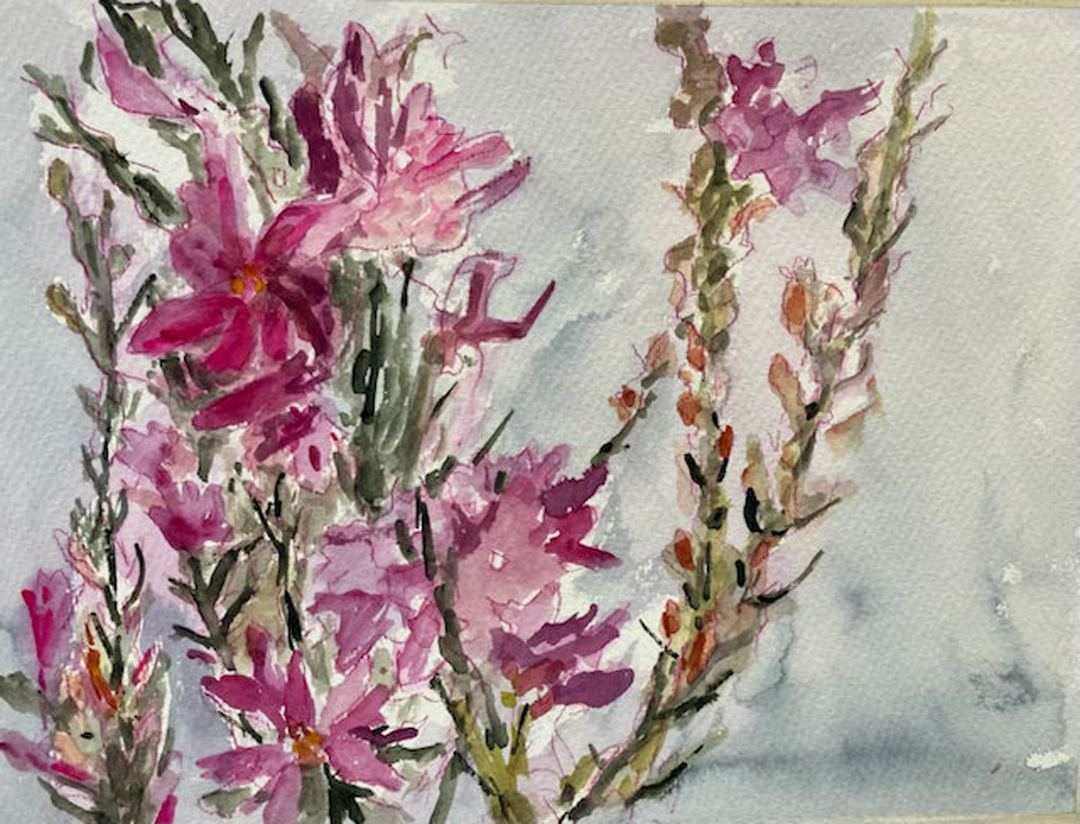 Bartlett Flower Stems 5-26