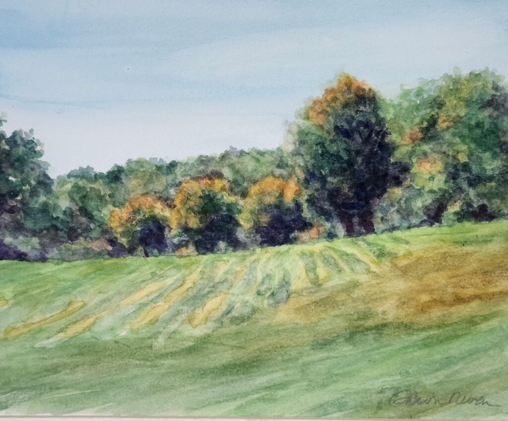 Summer Field by Sharon Neveu Summer Field by Sharon Neveu