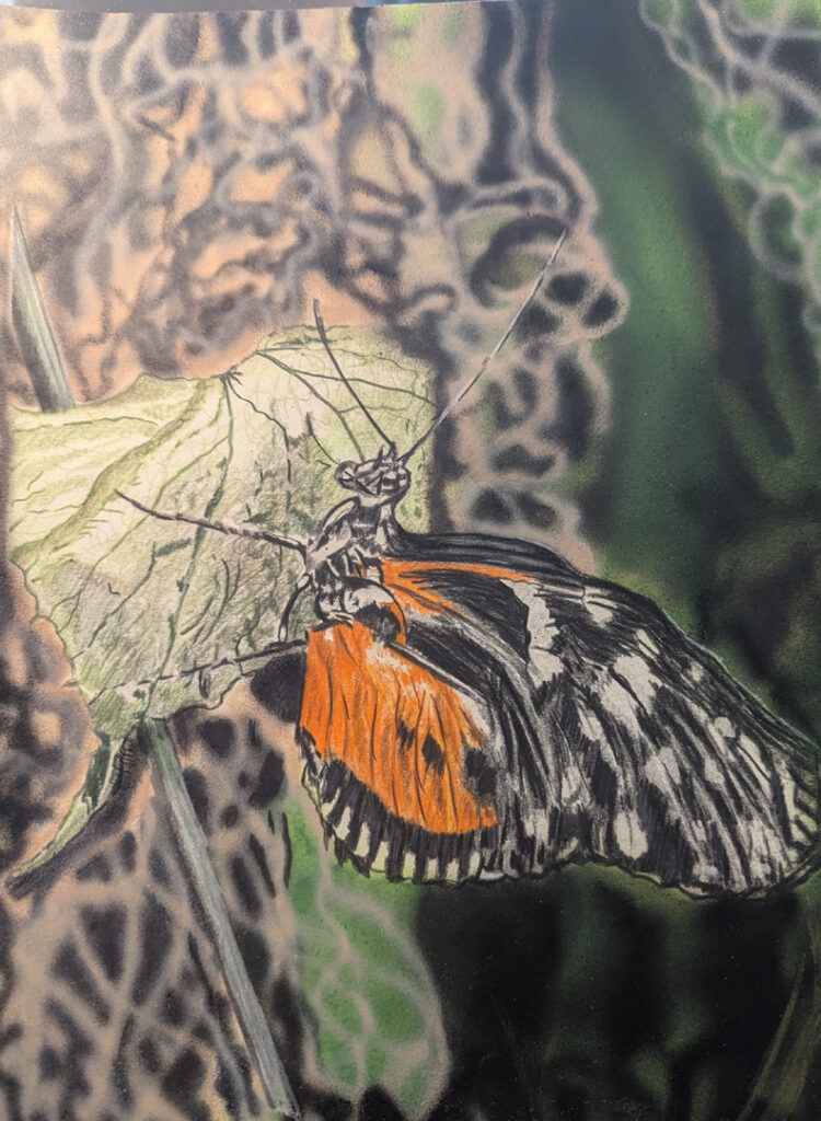 Butterfly Two by Roger Rouse Butterfly Two by Roger Rouse