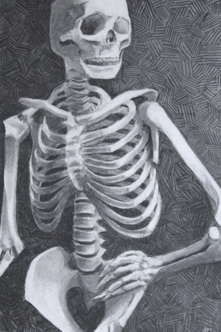 Skeleton drawing by Megan Stover