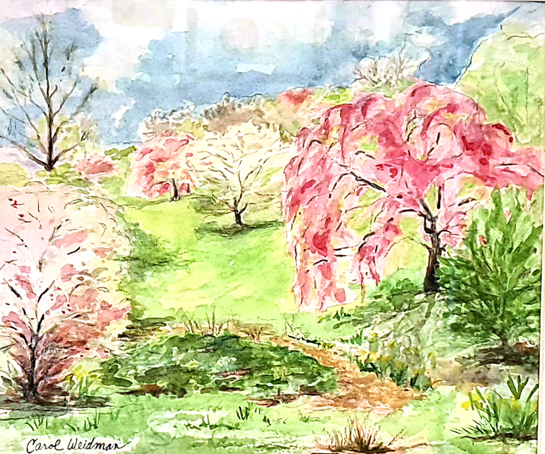 Highland Park by Carol Weidman