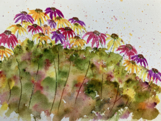 Echinacea Color Explosion by Doug Bloom Echinacea Color Explosion by Doug Bloom