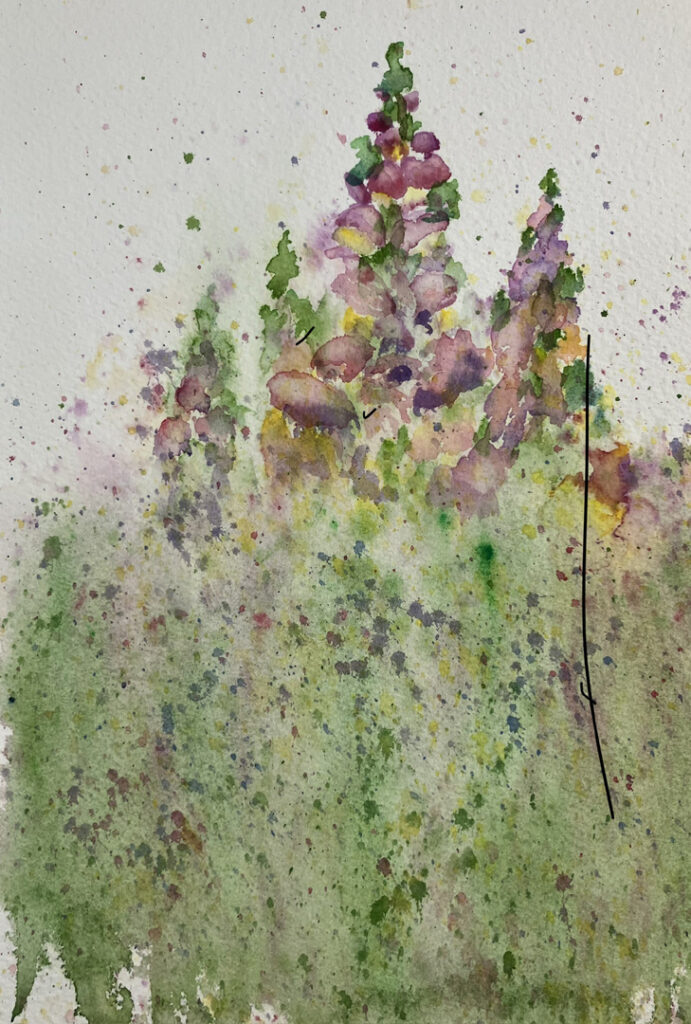 Snapdragon Explosion by Doug Bloom Snapdragon Explosion by Doug Bloom