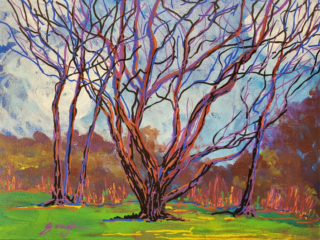 Tree by Pat Gough Tree by Pat Gough