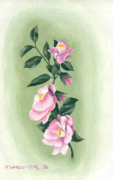 Amazing-Roses by John Heister Amazing-Roses by John Heister