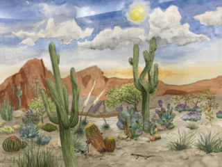 Dancing Cacti by Kitty Lawrence Dancing Cacti by Kitty Lawrence