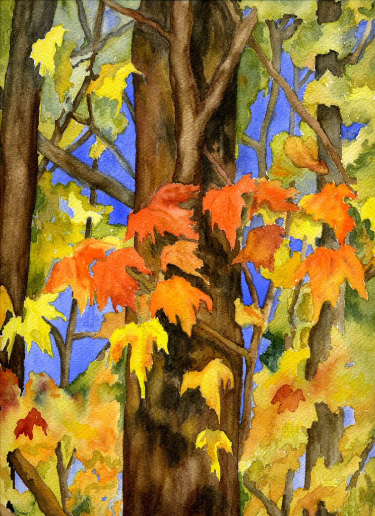 Maple Leaf Rag by Kathy Lindsley Maple Leaf Rag by Kathy Lindsley
