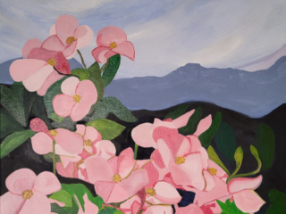 Pink Doogwood by Suzanne Markham Pink Doogwood by Suzanne Markham