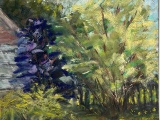 Backyard Trees by Lee Yanni Backyard Trees by Lee Yanni
