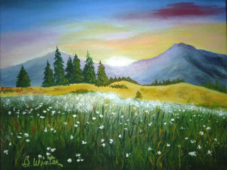Field of Daisies by Bob Winter Field of Daisies by Bob Winter