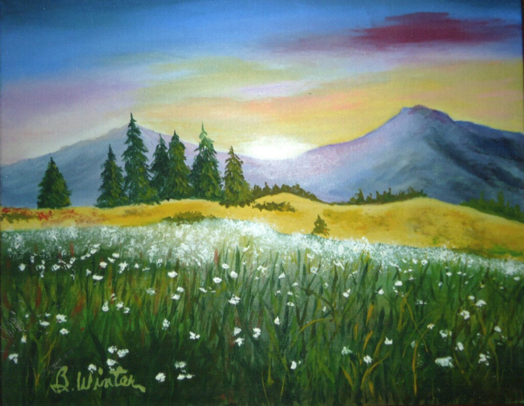 Field of Daisies by Bob Winter Field of Daisies by Bob Winter